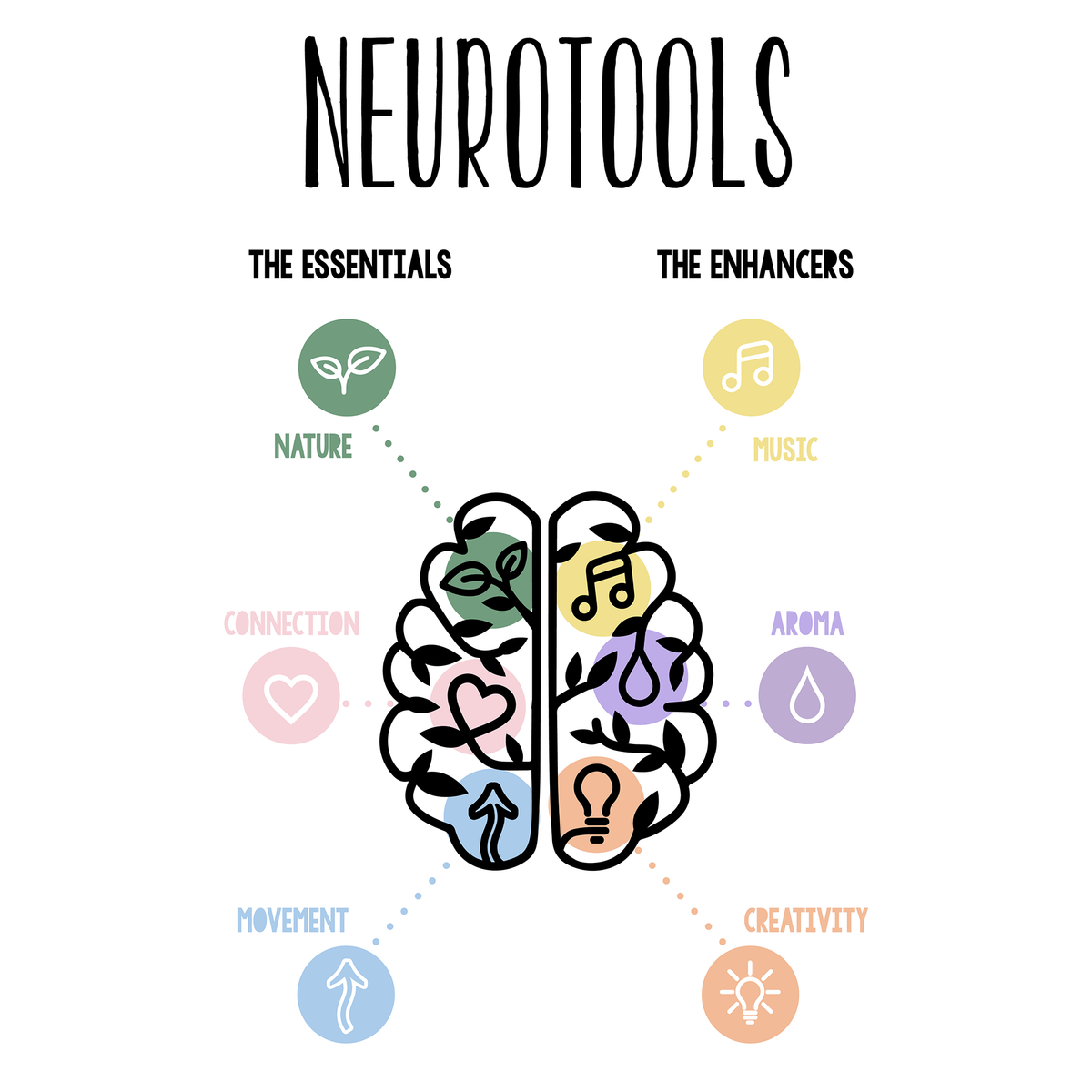 Brain Essentials NZ - My Amazing Brain Neurotools Image